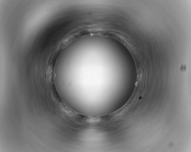 X0000090440767200708102027