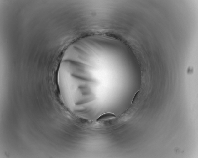 X0000090440768200708102027