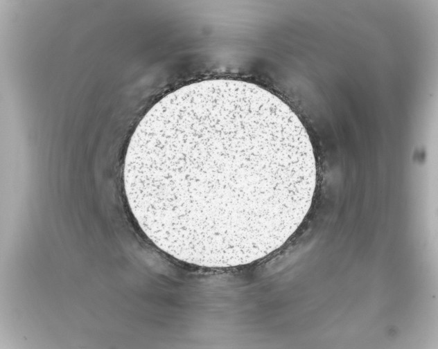 X0000090440769200708102026