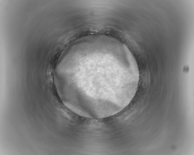 X0000090440770200708102026