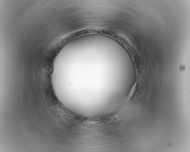 X0000090440773200708102026