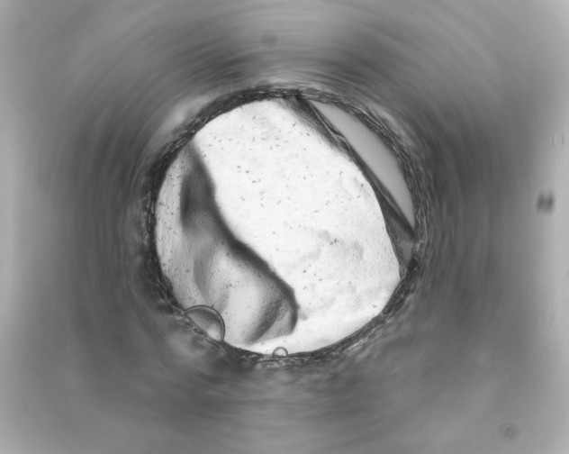X0000090440776200708102026