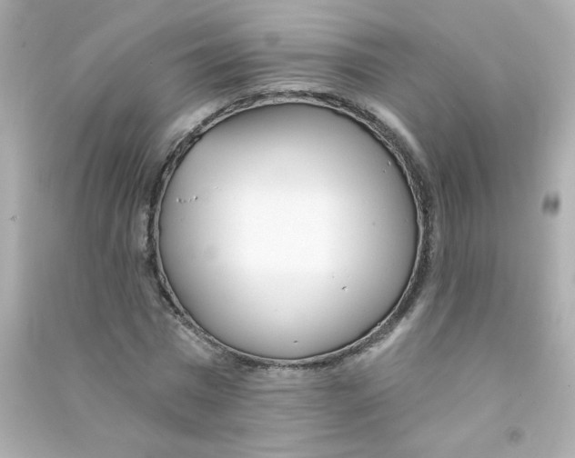 X0000090440777200708102026