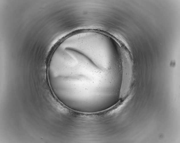 X0000090440781200708102026