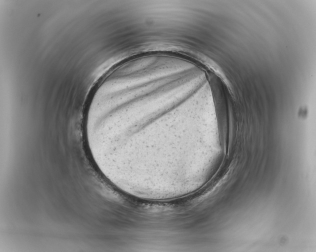 X0000090440786200708102026
