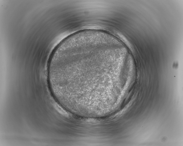 X0000090440787200708102026