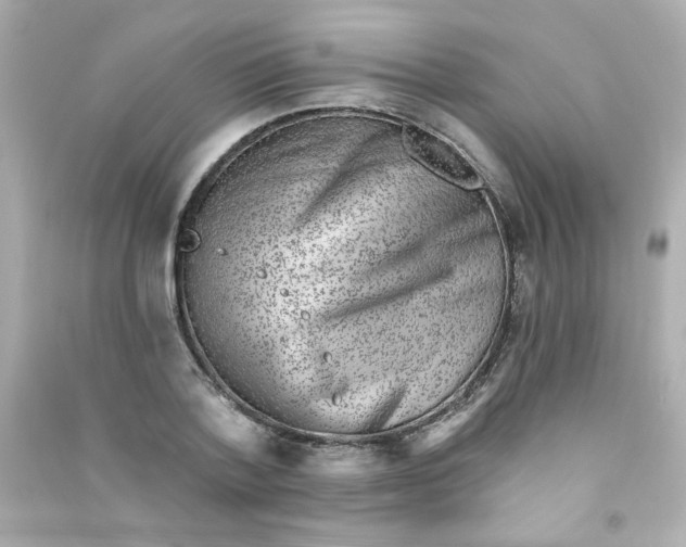 X0000090440788200708102026