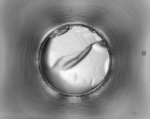 X0000090440789200708102026