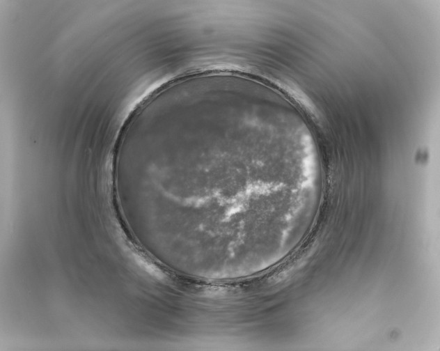 X0000090440790200708102026