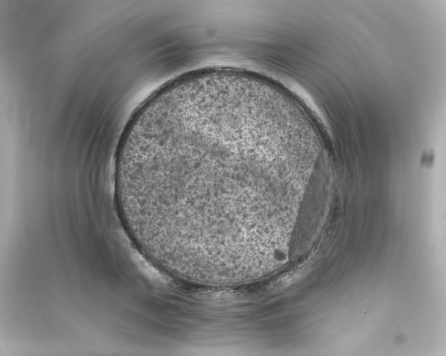 X0000090440791200708102026