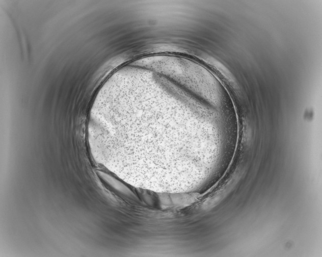 X0000090440793200708102026