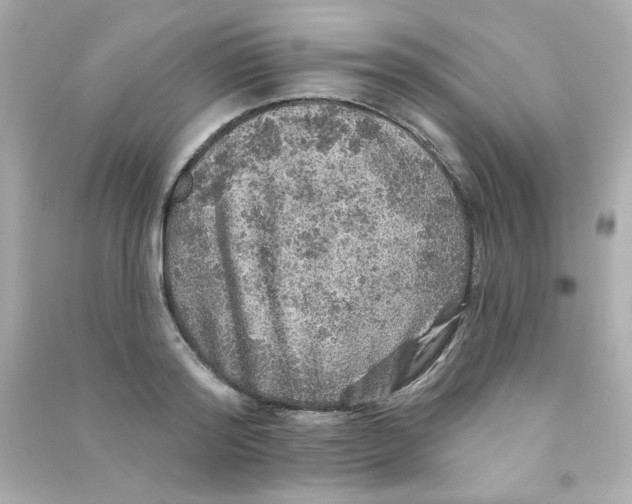 X0000090440796200708102026