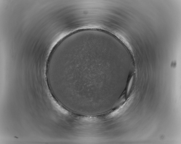 X0000090440797200708102026