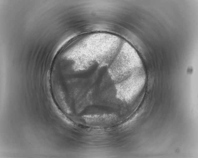 X0000090440798200708102026