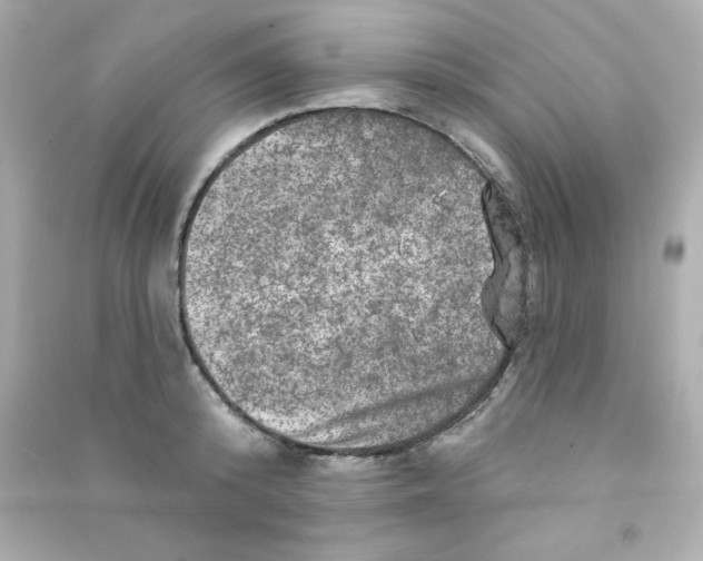X0000090440800200708102026
