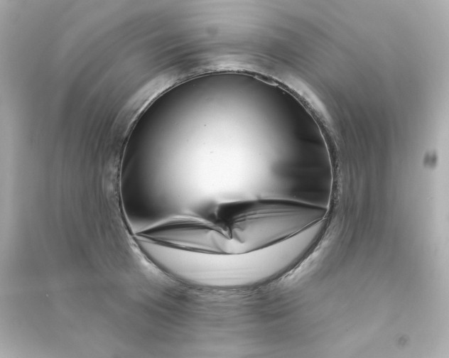 X0000090440801200708102026