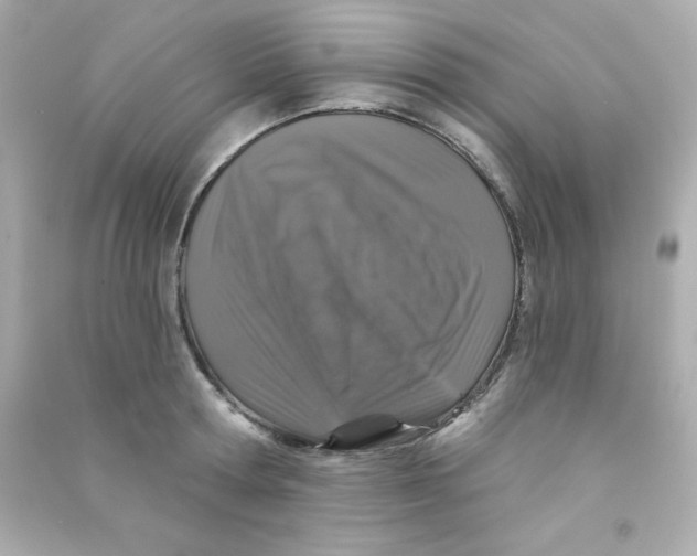X0000090440802200708102026