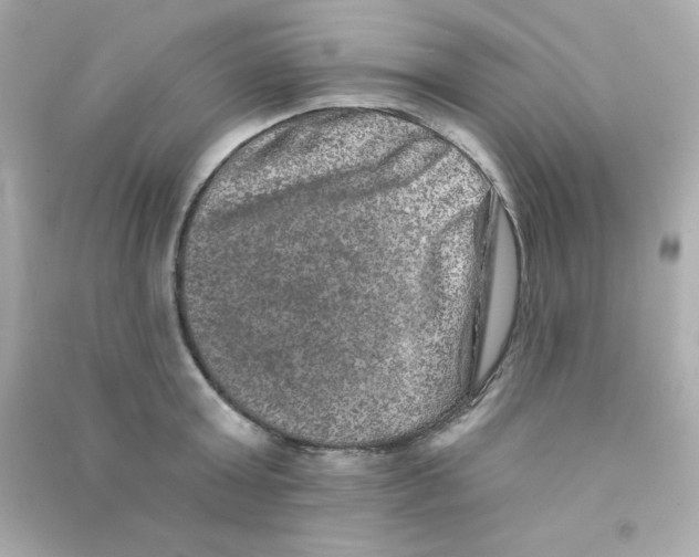 X0000090440803200708102026