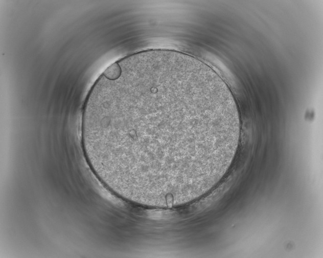 X0000090440804200708102026