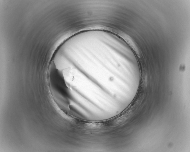 X0000090440805200708102026