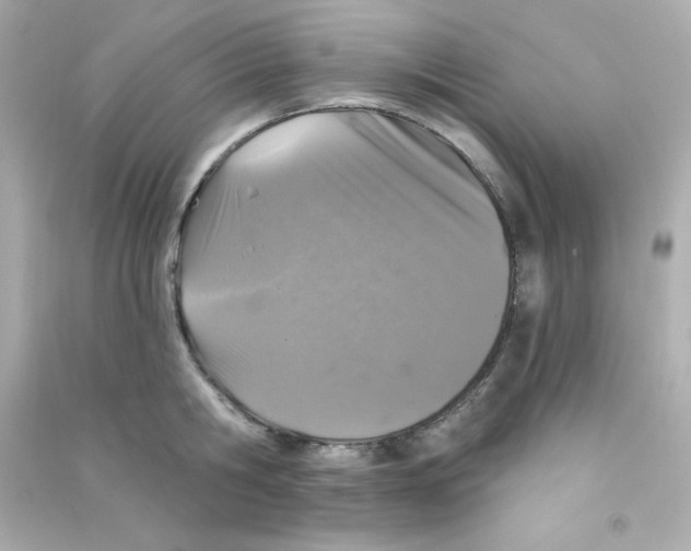 X0000090440806200708102026
