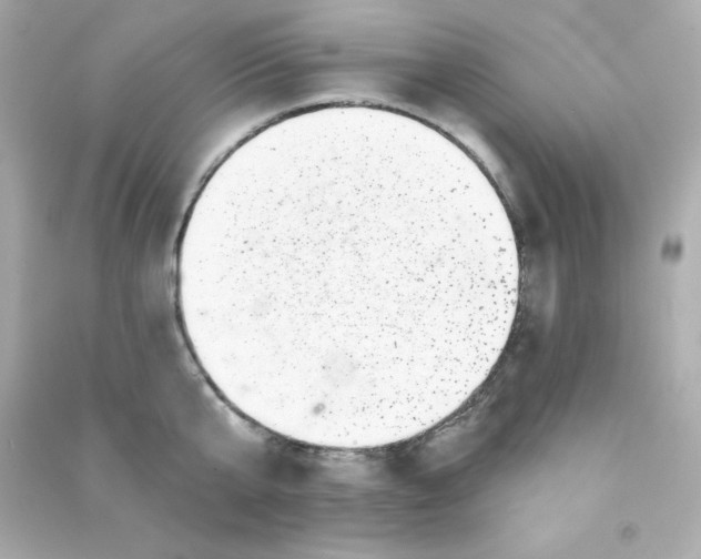 X0000090440807200708102026