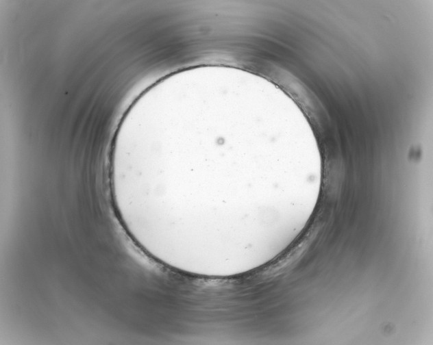 X0000090440808200708102026
