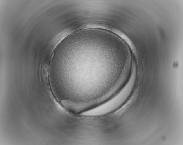 X0000090440809200708102026