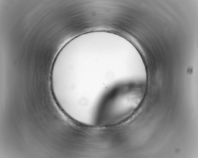 X0000090440810200708102026