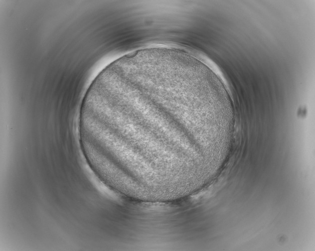 X0000090440811200708102026