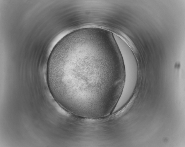 X0000090440812200708102026