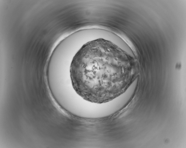 X0000090440813200708102026