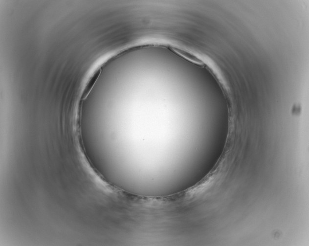 X0000090440815200708102026