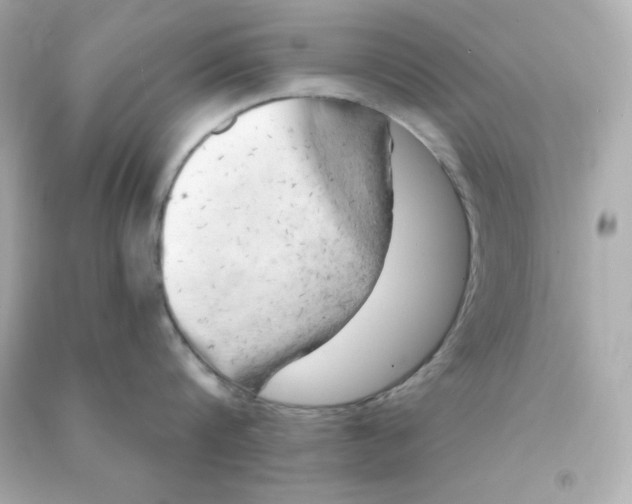 X0000090440816200708102026