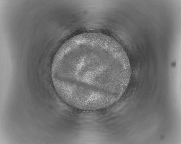 X0000090440817200708102025