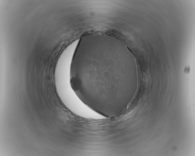 X0000090440818200708102025