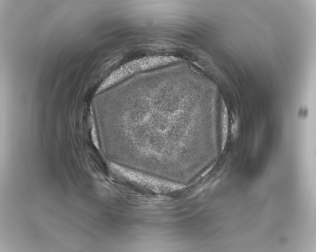 X0000090440819200708102025