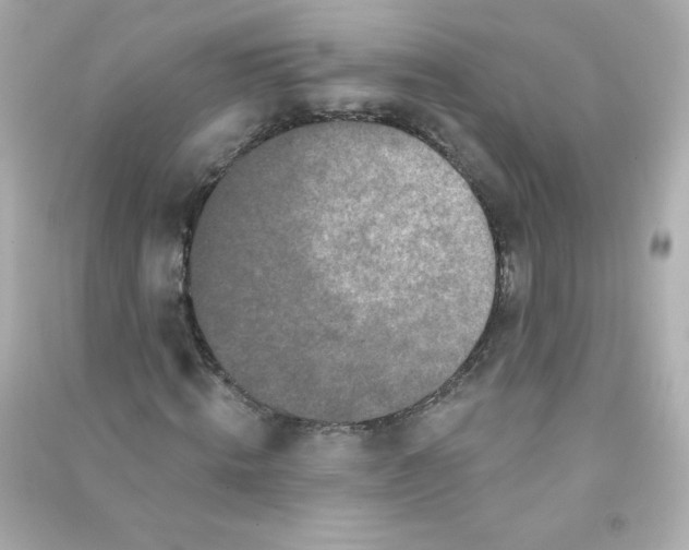 X0000090440820200708102025