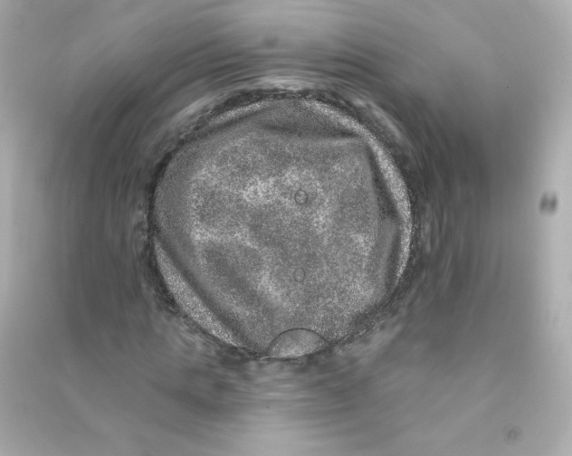 X0000090440821200708102025