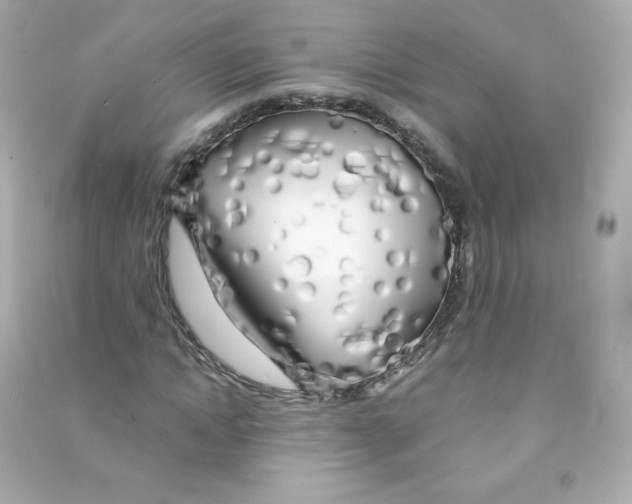 X0000090440822200708102025