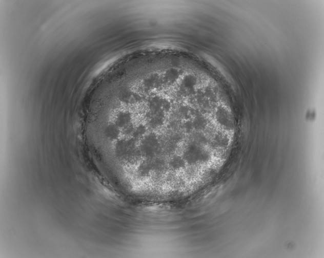 X0000090440823200708102025