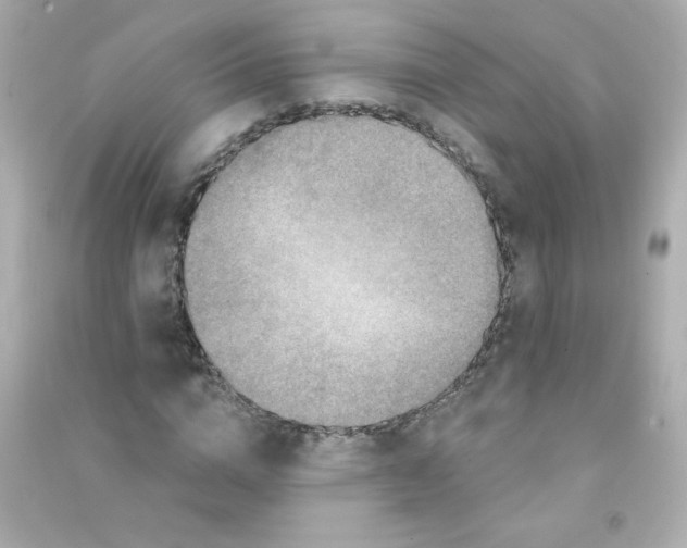 X0000090440824200708102025