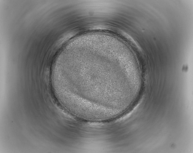 X0000090440825200708102025