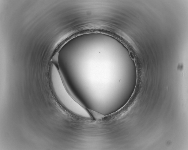 X0000090440826200708102025
