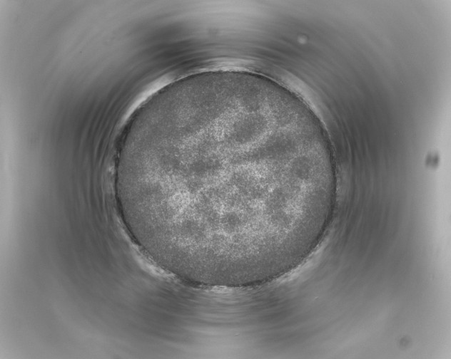 X0000090440827200708102025