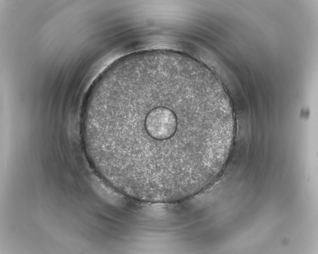 X0000090440828200708102025