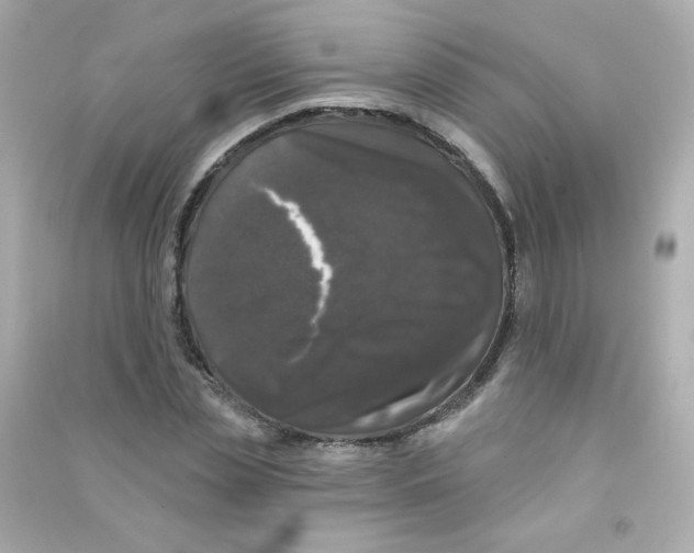 X0000090440829200708102025