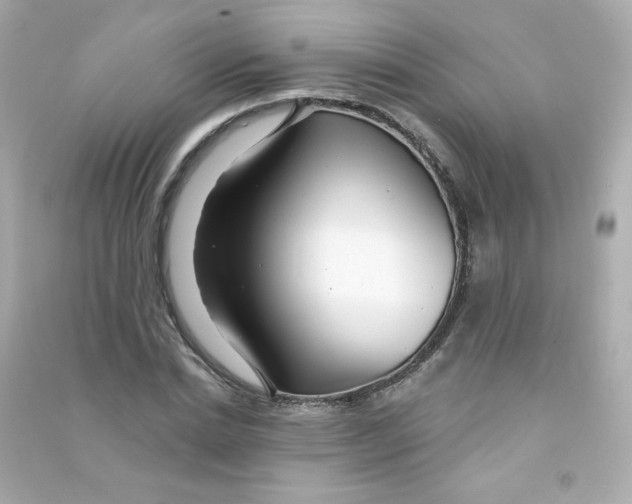 X0000090440830200708102025