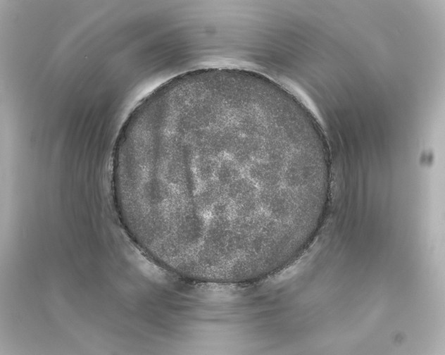 X0000090440831200708102025