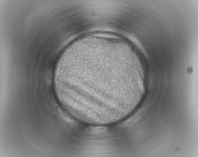 X0000090440833200708102025